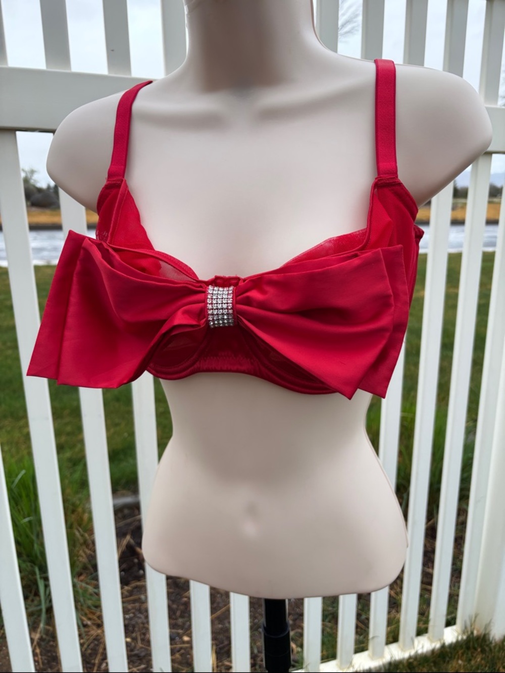 Victoria’s Secret Dream Angel NWT 36 DDD Red Bling Bow Push up W/Out Padding BRA